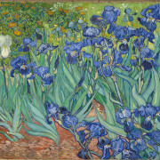 Irissen