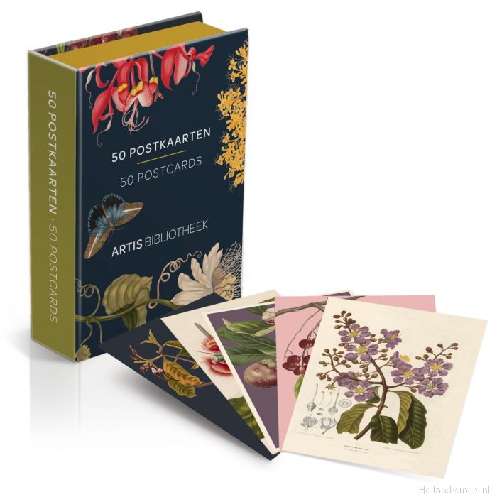 ondersteuning Algebraïsch Boom Doos met Postkaarten - Artis Bibliotheek (50 stuks) kopen bij  HollandWinkel.NL
