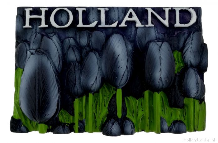 Ramkoers Pellen klok Zwarte Tulpen Magneet Holland - 3D kopen bij HollandWinkel.NL